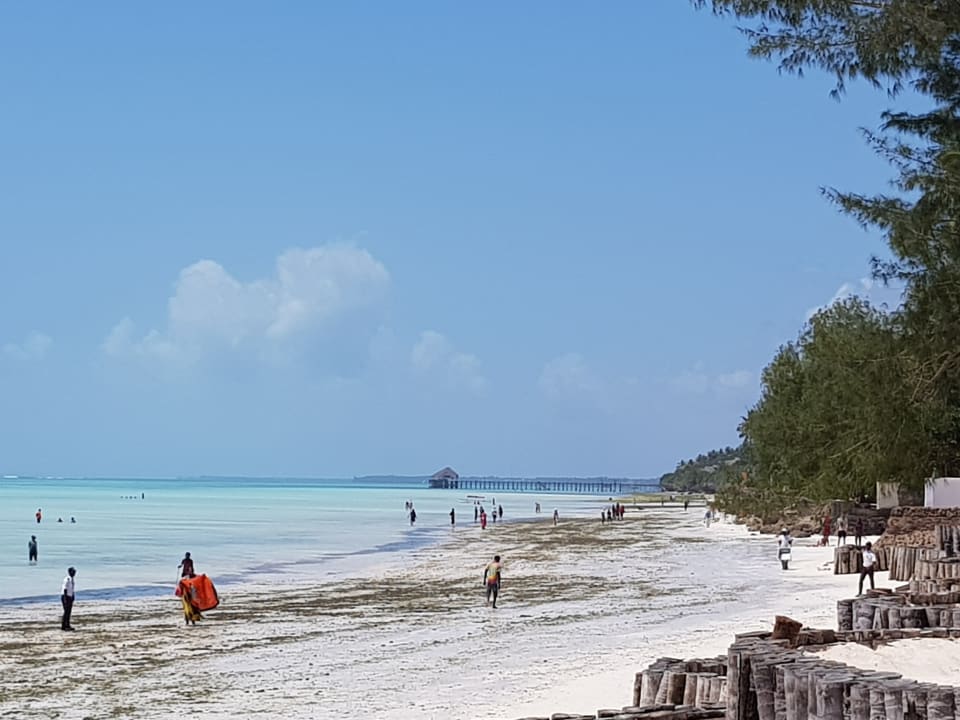 Strand TUI Blue Bahari Zanzibar