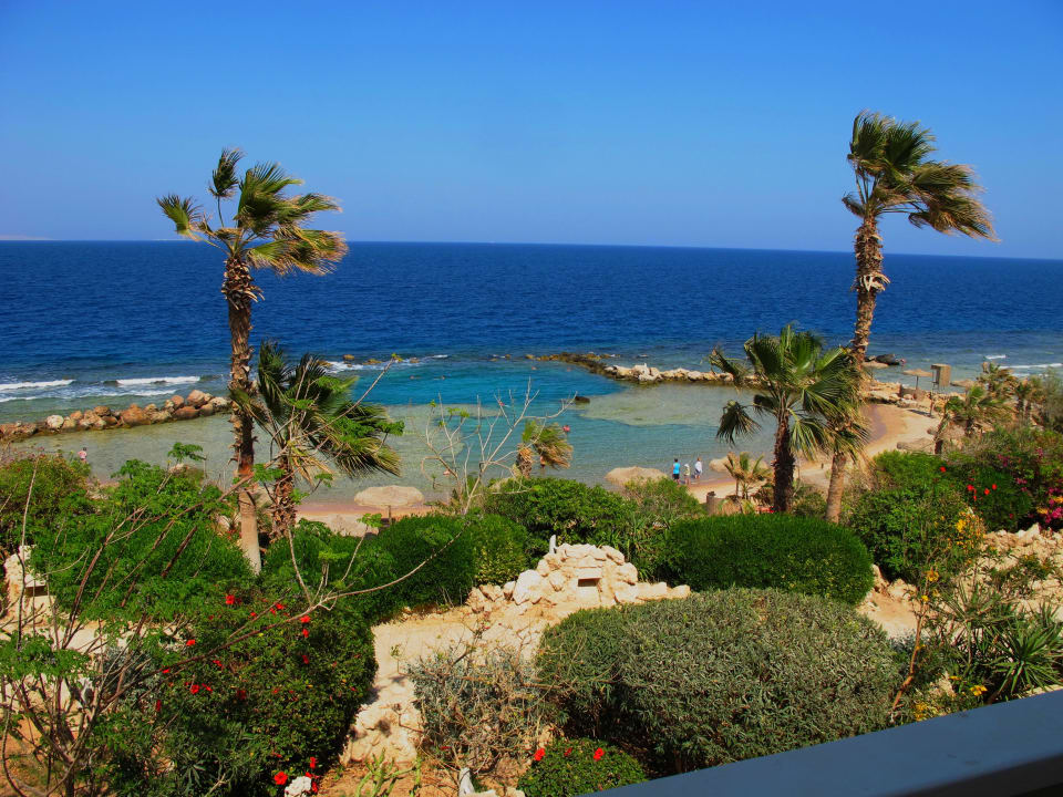 Citadel Azur Resort Pickalbatros Citadel Resort