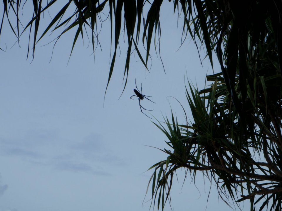 Gartenanlage Hotel Siladen Resort & Spa