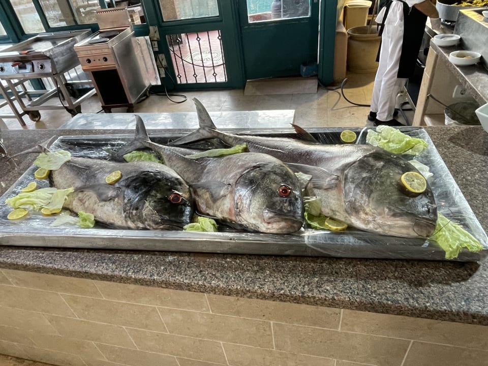 Gastro Club Paradisio El Gouna, Red Sea