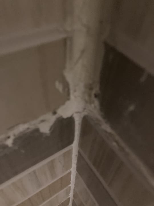 Zimmer Three Corners Sea Beach Resort