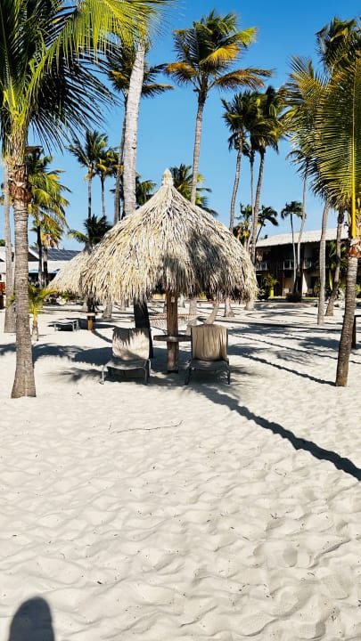 Strand Manchebo Beach Resort & Spa