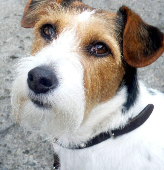 Unsere Lissy am Strand... so schön! Strandhotel Plaża