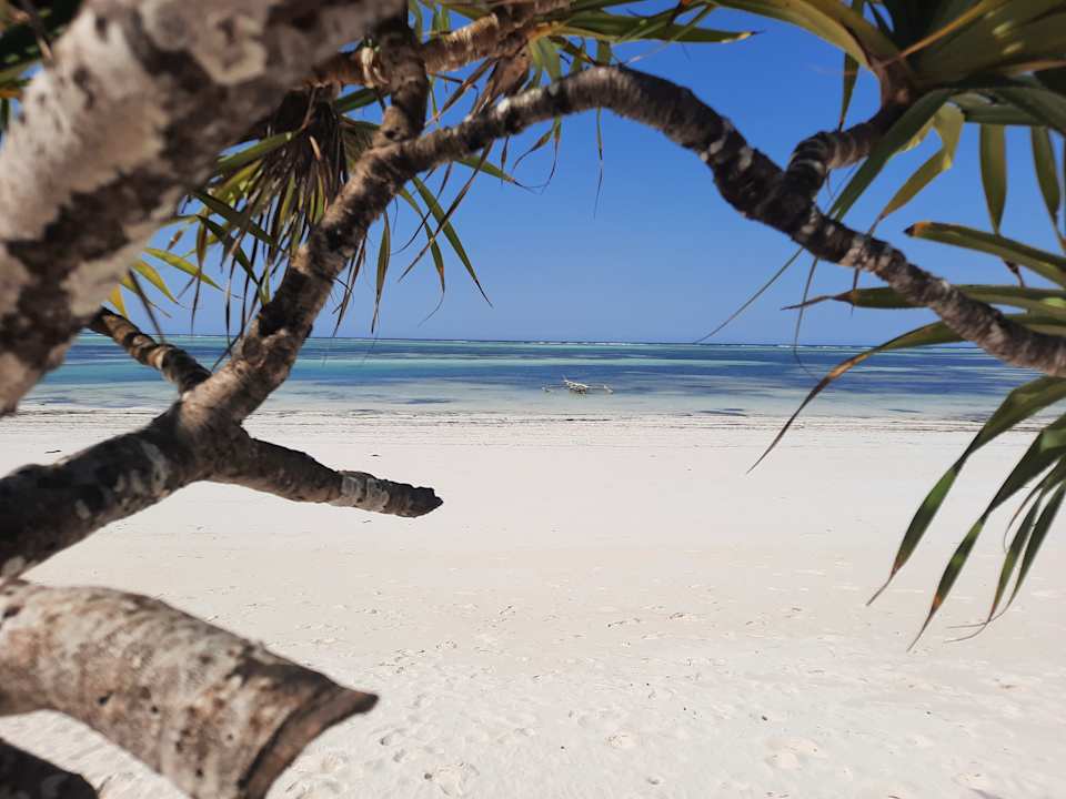 Strand Ocean Paradise Resort & Spa