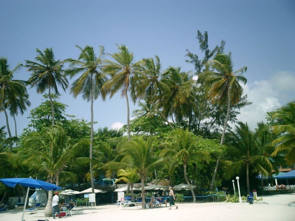 strand BelleVue Dominican Bay