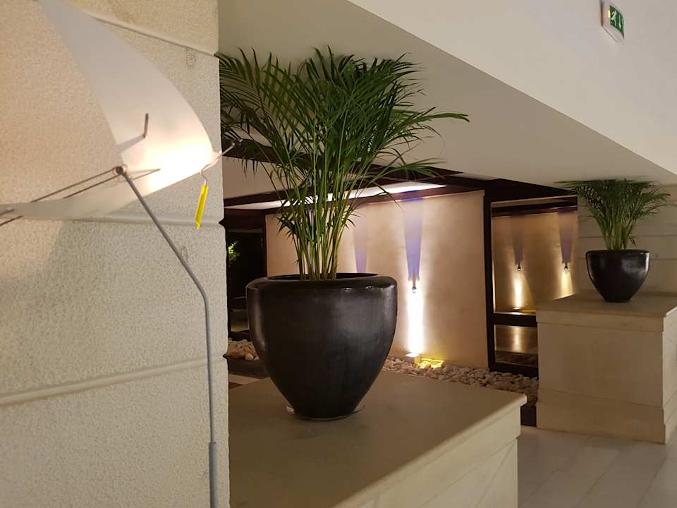 Lobby Apollonia Beach Resort & Spa