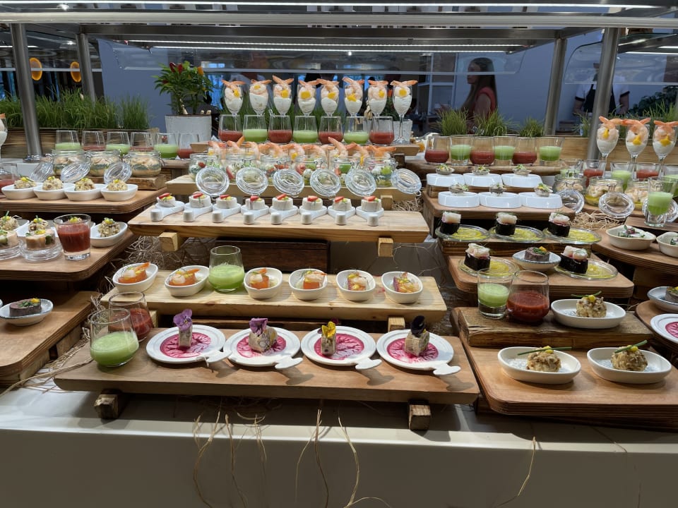 Gastro Lara Barut Collection