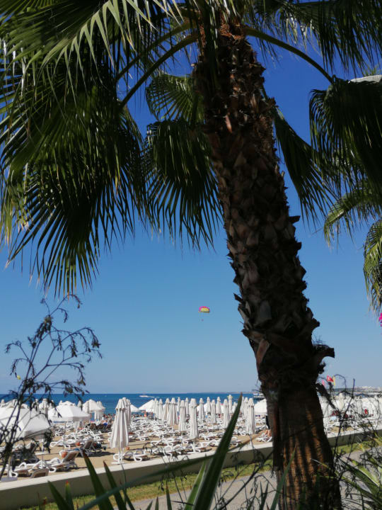 Strand PALOMA Perissia