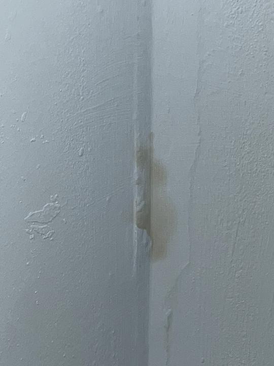 Zimmer Globales Don Pedro