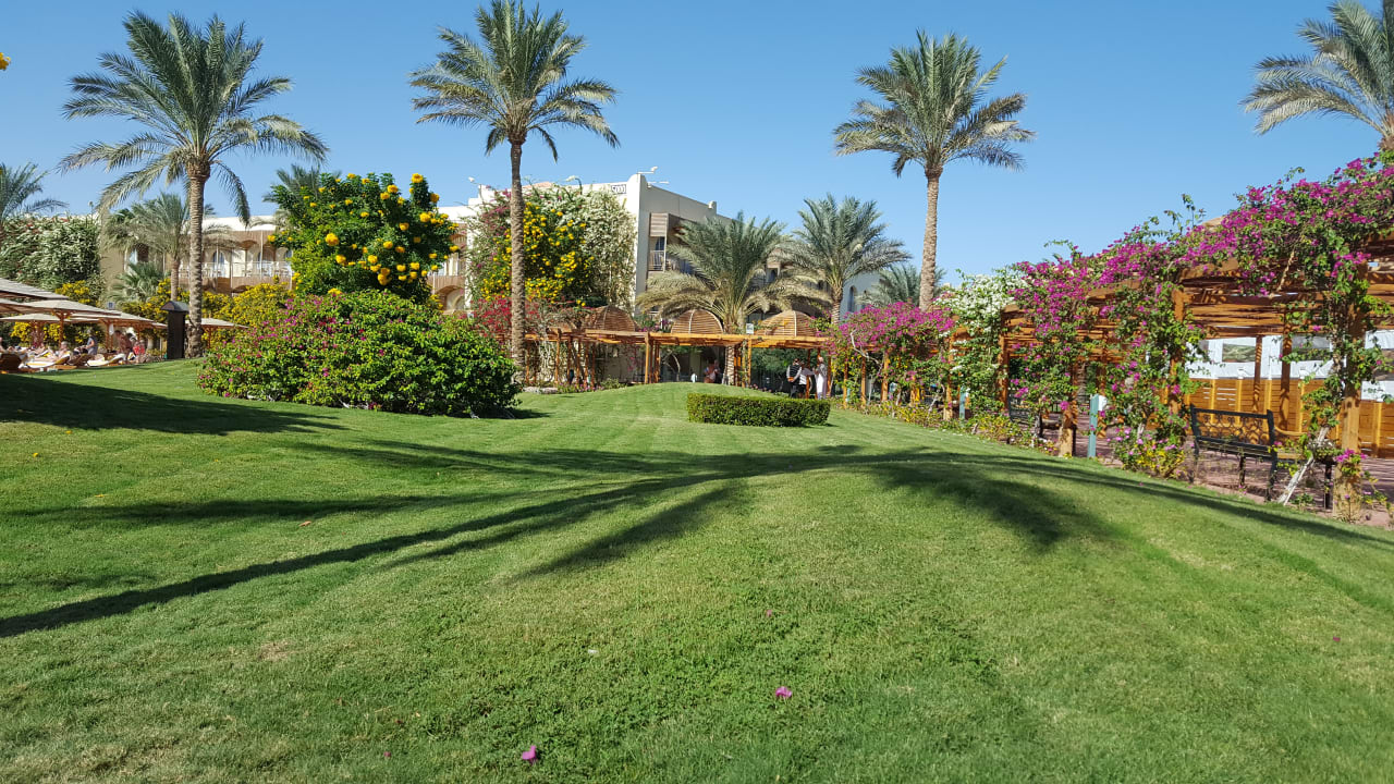Außenansicht Desert Rose