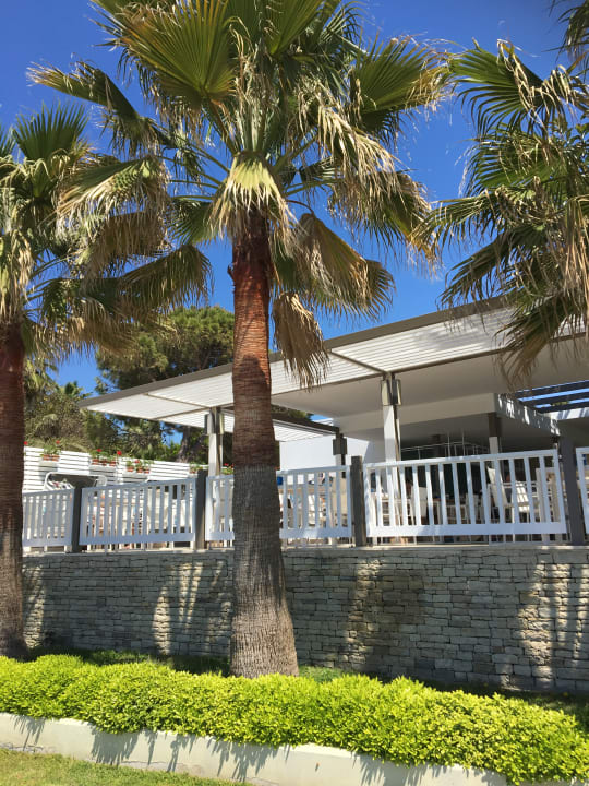 Gastro Acanthus Cennet Barut Collection