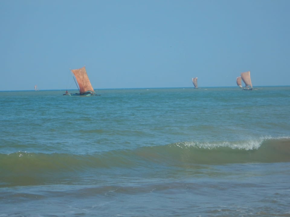 Garnelenfischer Hotel Rani Beach