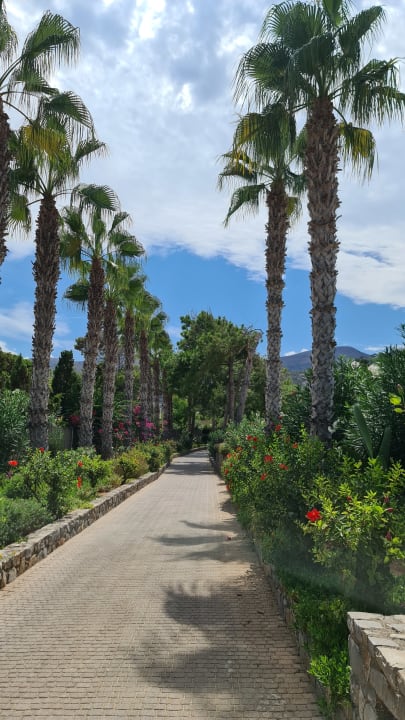 Gartenanlage Ikaros Beach Luxury Resort & Spa - Adults Only