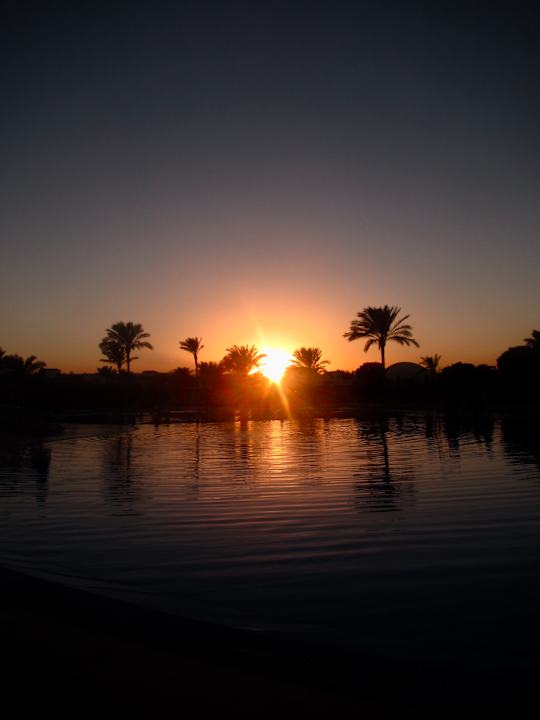 Ausblick Desert Rose