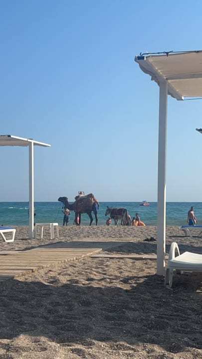 Strand Sunis Elita Beach Resort & Spa