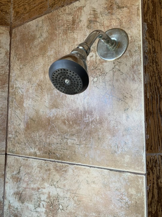 Zimmer Pickalbatros Citadel Resort