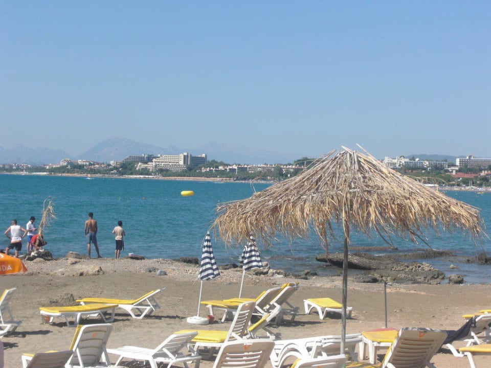 Direkte Strandlage Hotel Neptün/Neptun