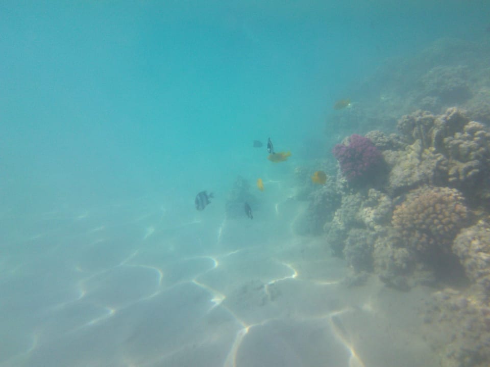 Strand Cleopatra Luxury Resort Makadi Bay