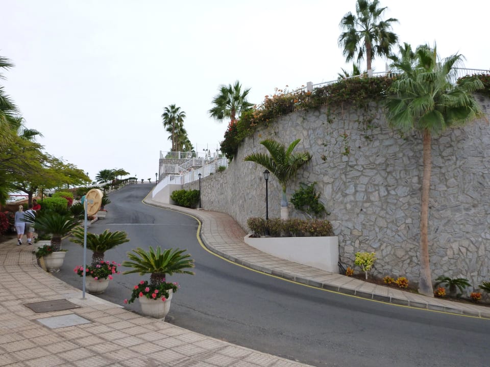 Hotel Hotel Riu Vistamar