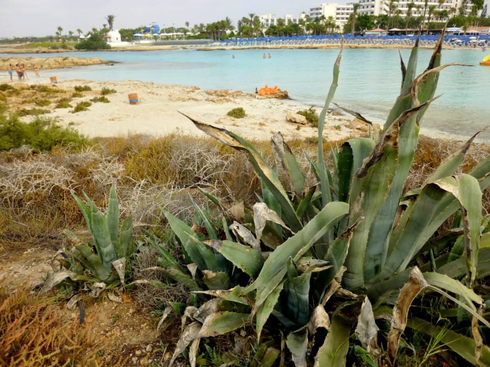 Auf der kleinen Insel Hara Nissi Beach