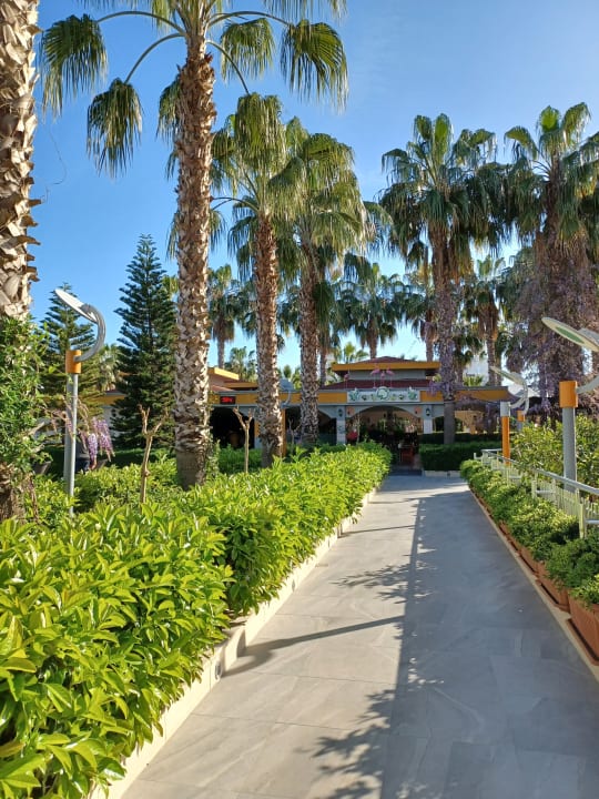 Gartenanlage Hane Family Resort