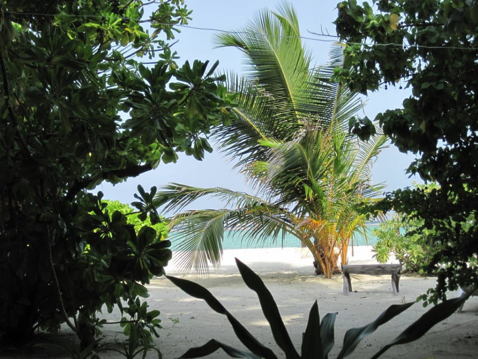 Blick aus dem Bungi Summer Island Maldives