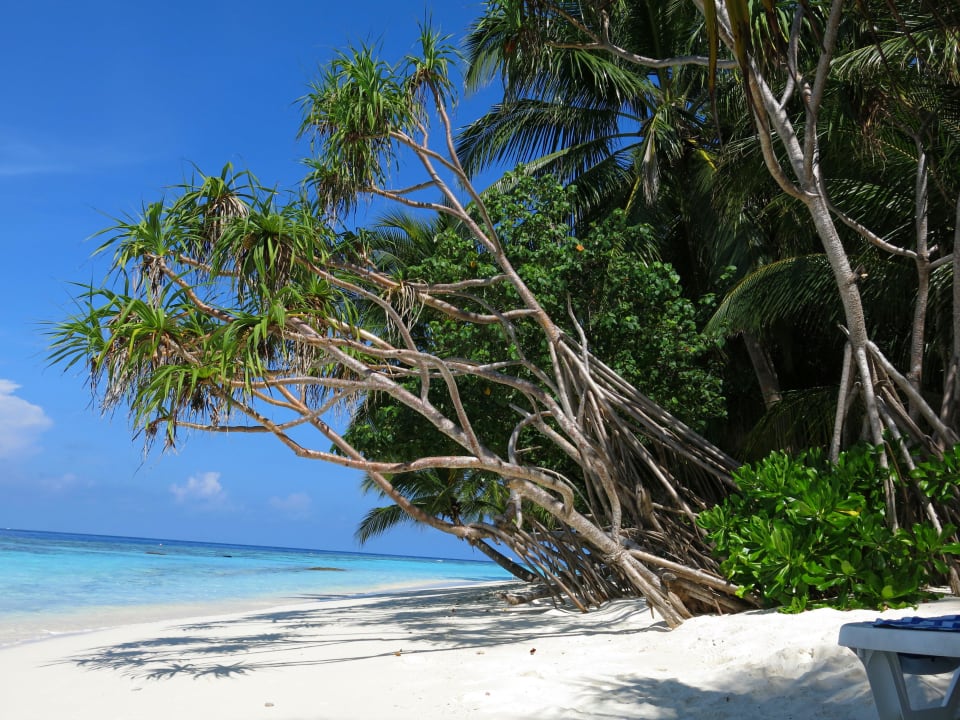 Strand Vilamendhoo Island Resort & Spa