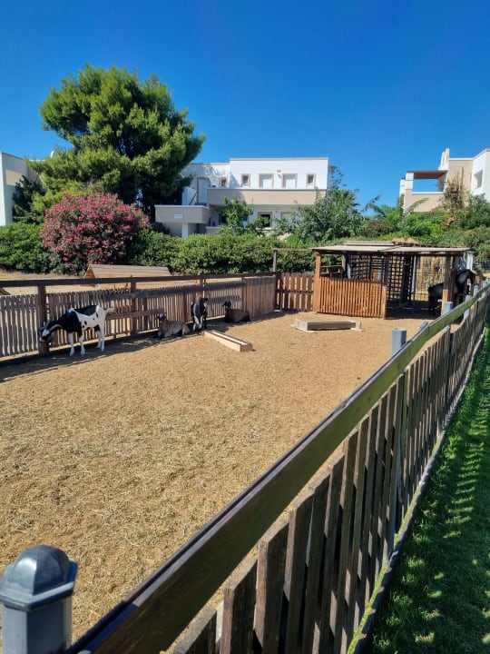 Sonstiges Hotel Gaia Palace