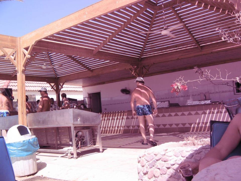 Strandbar Pickalbatros Alf Leila Wa Leila Resort - Neverland Hurghada