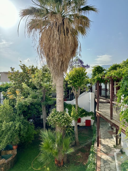Gartenanlage Kalypso Hotel
