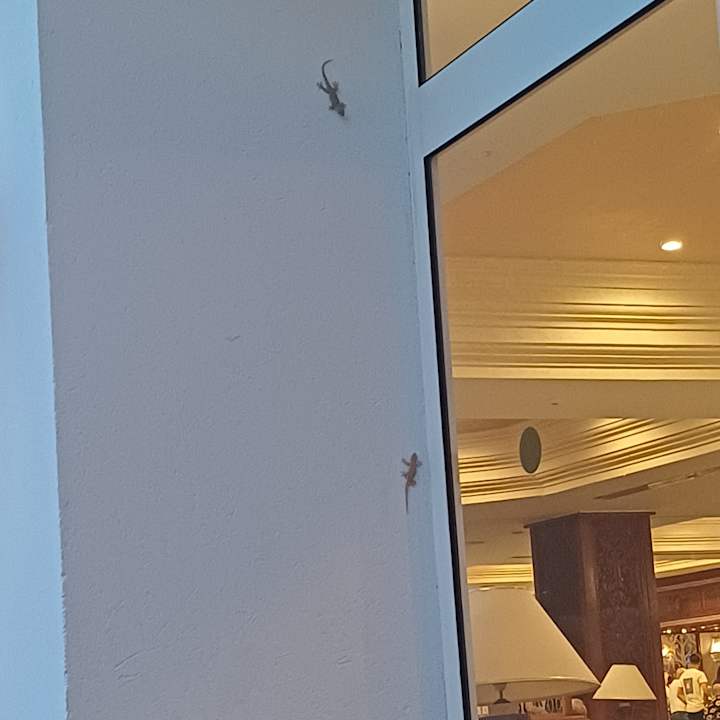 Außenansicht Occidental Marco Polo