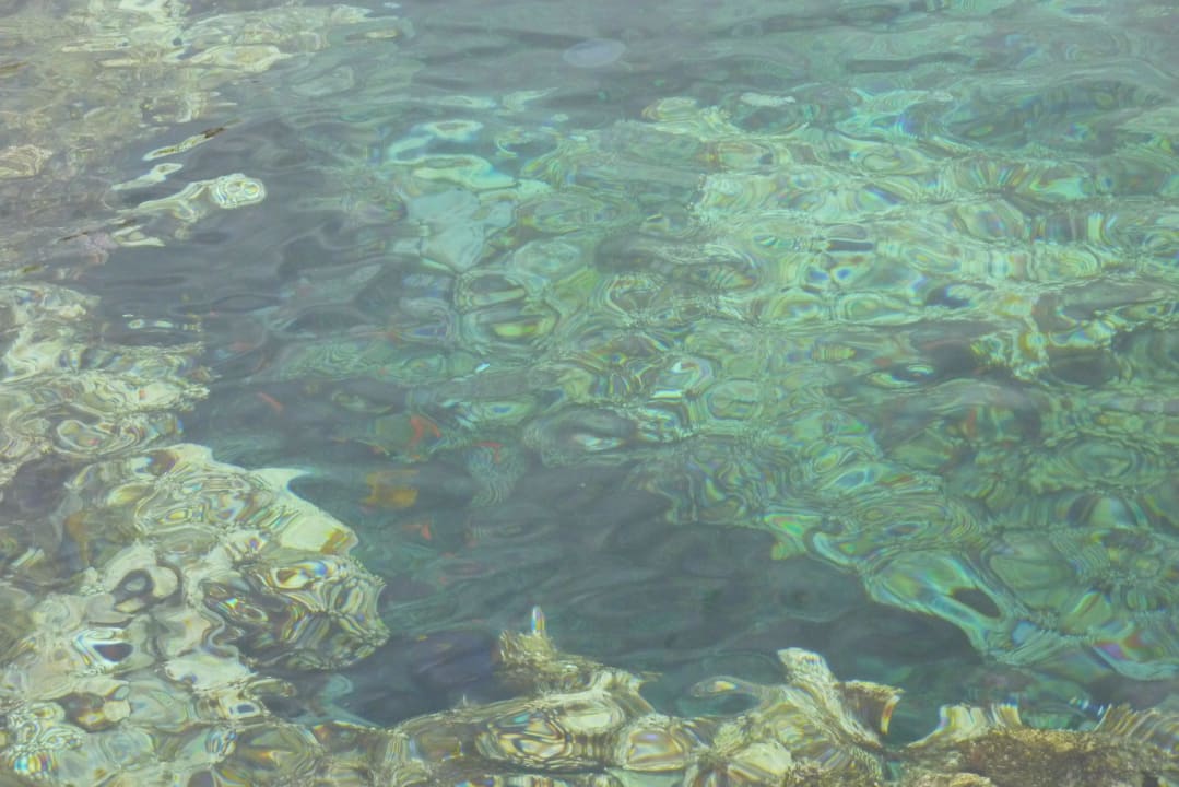 Korallen, nett zum Schnorcheln Ghazala Gardens