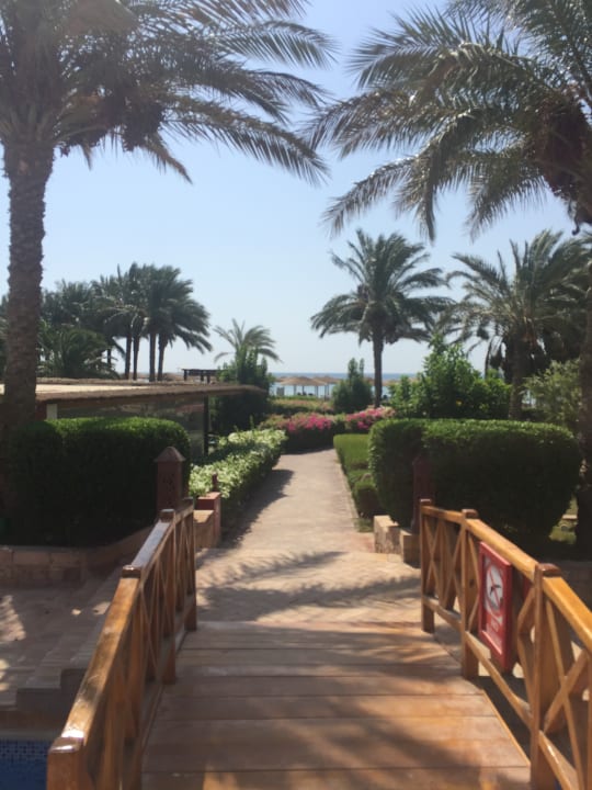 Gartenanlage Fort Arabesque Resort, Spa & Villas