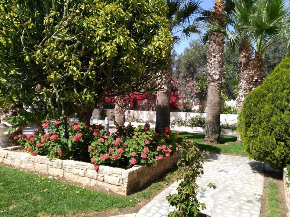 Der üppig blühende Garten Elias Beach Hotel