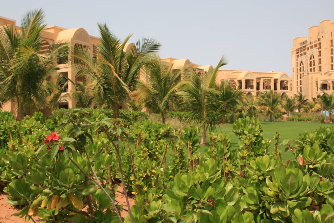 Garten vor den Villen DoubleTree by Hilton Resort & Spa Marjan Island