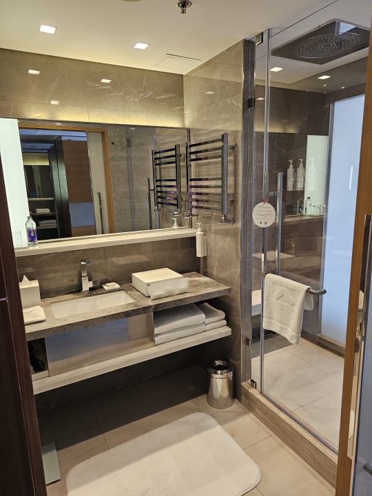 Zimmer Hotel Swissôtel The Bosphorus