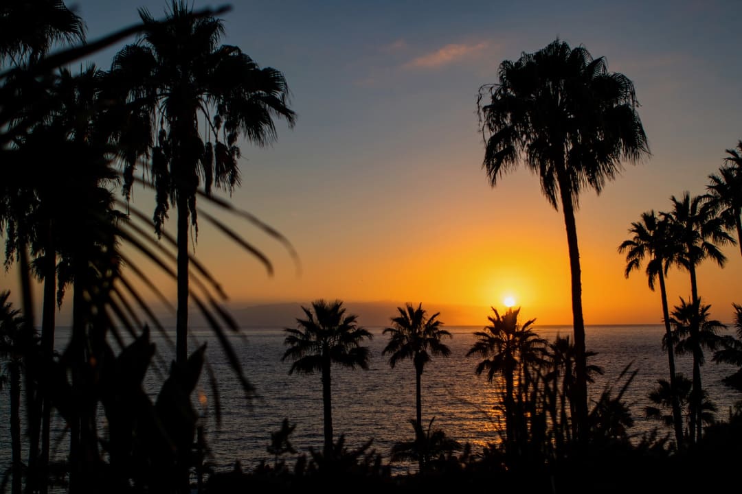 Ausblick Dreams Jardín Tropical