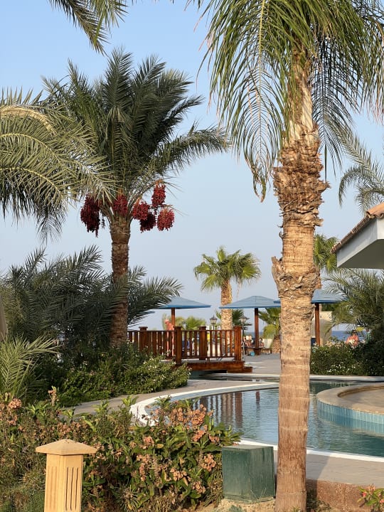 Gartenanlage Lahami Bay Beach Resort