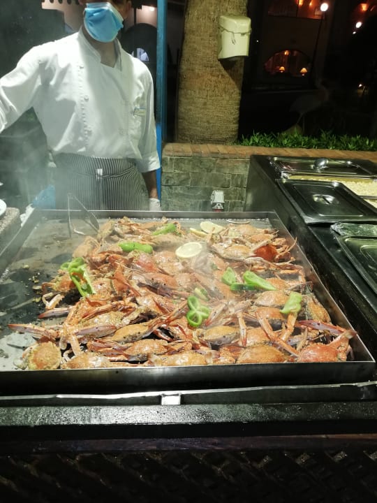 Gastro Arabia Azur Resort