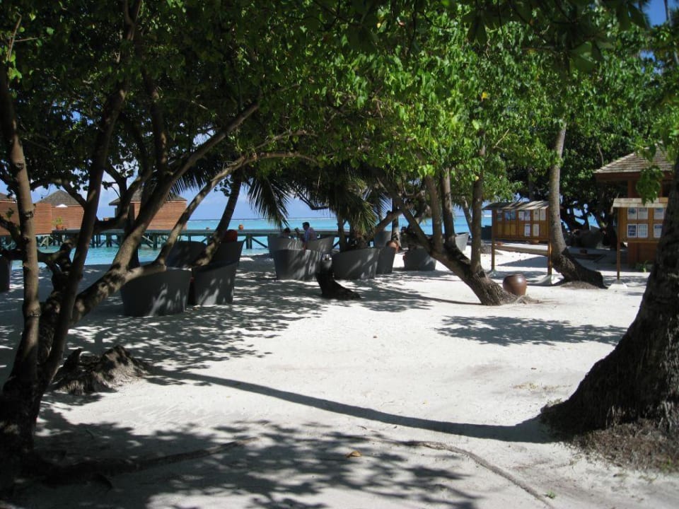 Pavillon Relax Bar Meeru Maldives Resort Island