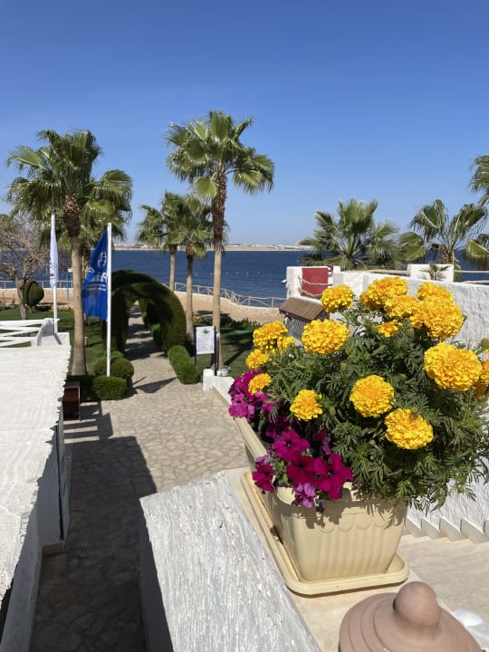 Gartenanlage Sharm Club Beach Resort