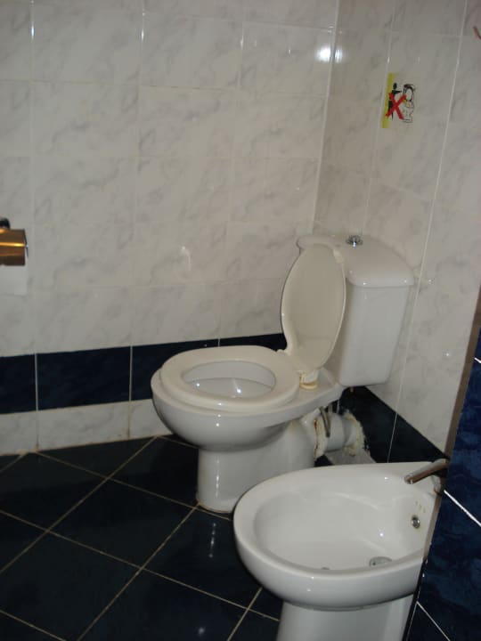 Туалет Desert Rose