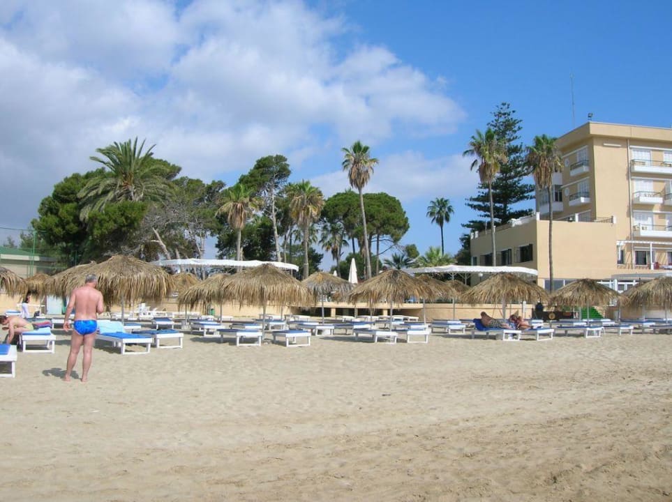 Hotelstrand Arkin Palm Beach Hotel