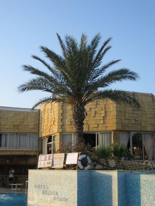 vom Pool zum Restaurant Palmyra Golden Beach