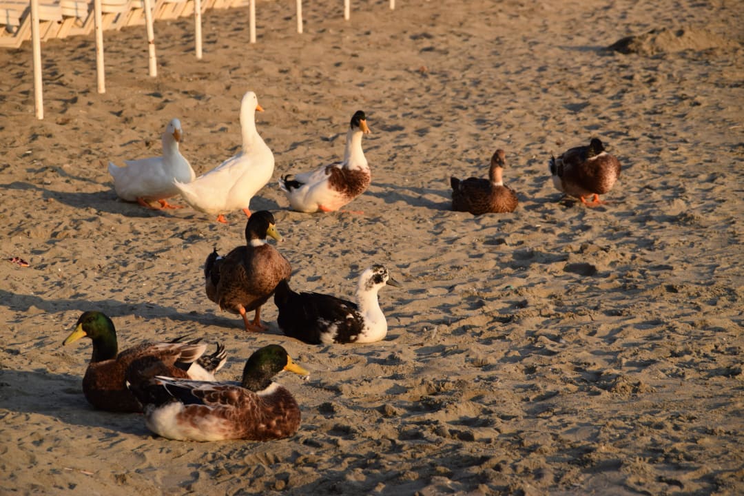 Strand Tusan Beach Resort