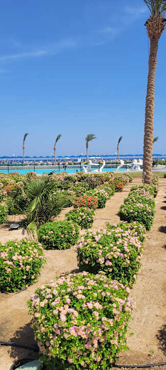 Strand Albatros Makadi Resort