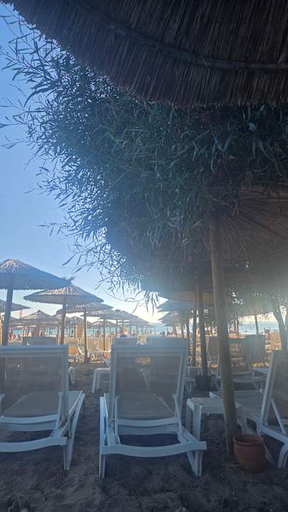 Strand Dream Water World