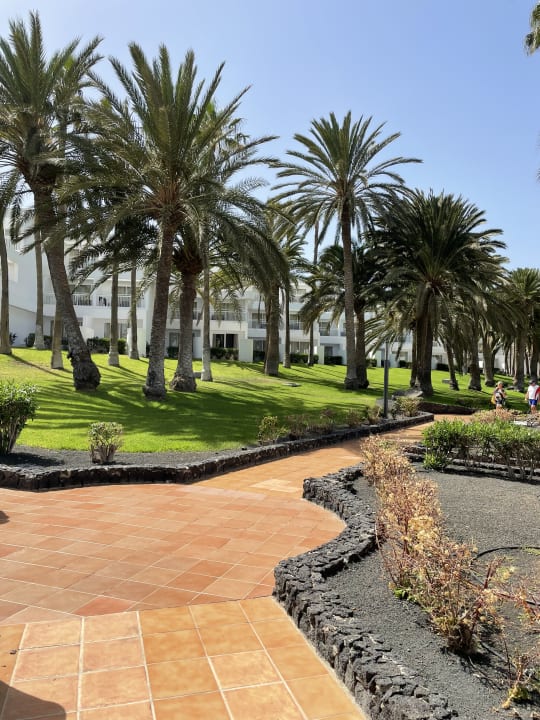 Gartenanlage Hotel Riu Paraiso Lanzarote