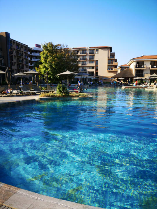 Pool HVD Clubhotel Miramar