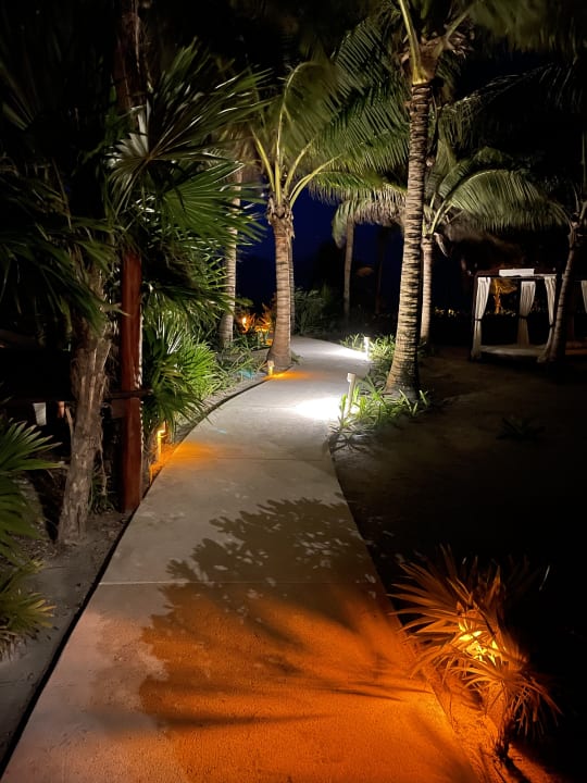 Gartenanlage Akumal Bay Beach & Wellness Resort